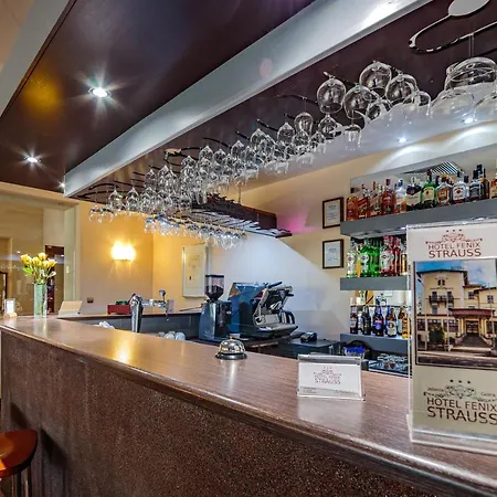 Hotel Fenix